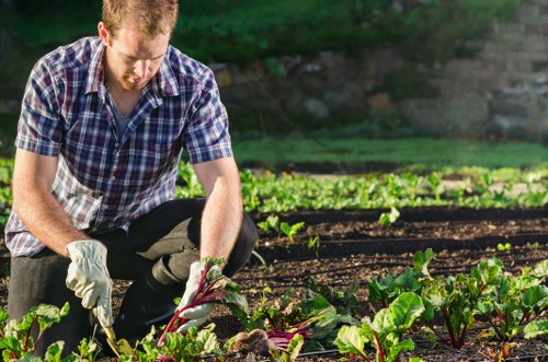 Gardener assessing a front garden before giving a quote