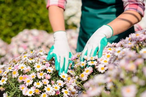 Key elements of landscape gardening including plant selection and design layout