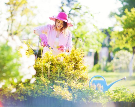Close-up of garden work showing an issue being documented
